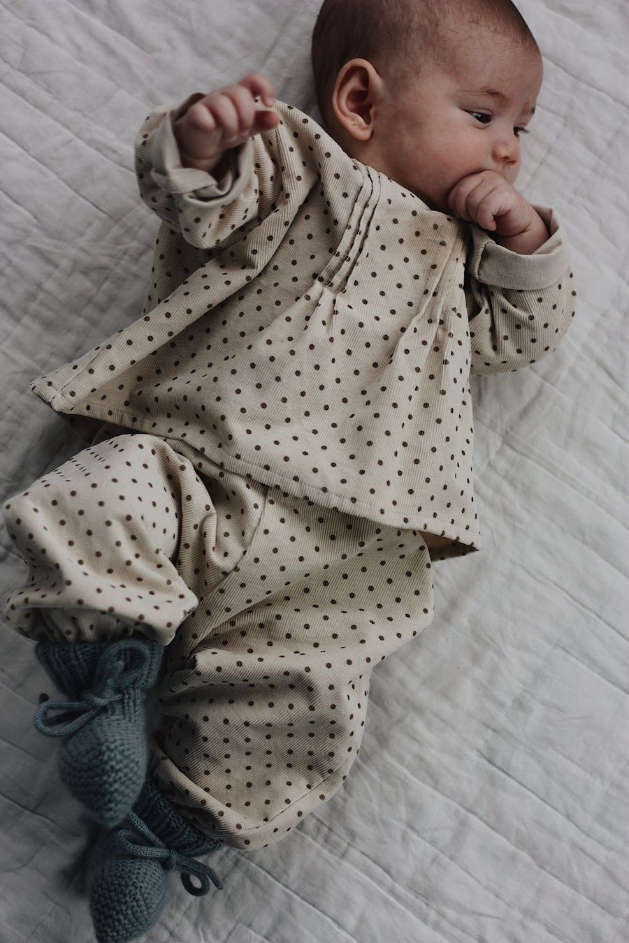Holly top brown dot (baby)